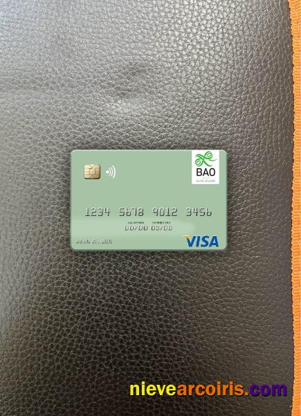 Guinea Bissau Banco Da Africa Ocidental visa debit card photolook